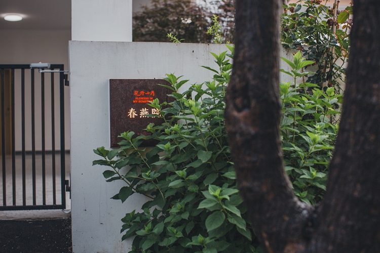 大床房102室外