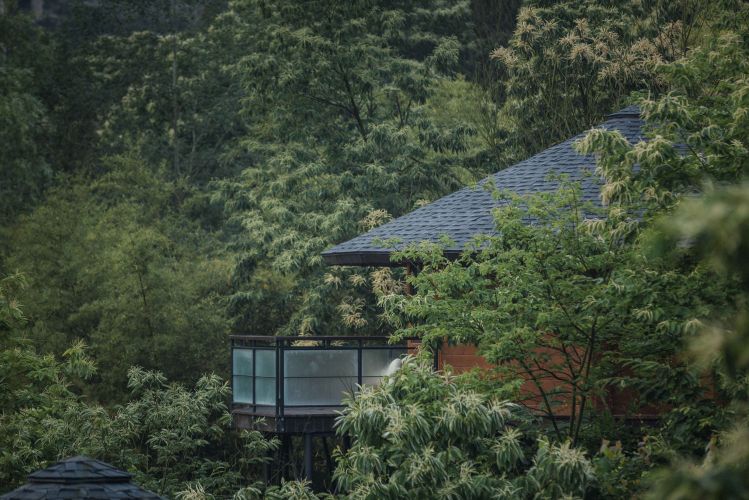 215树屋大床房室外